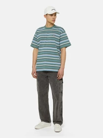 Футболки і поло Dickies Glade Spring Ss модель DK0A4YR1H591 Фото