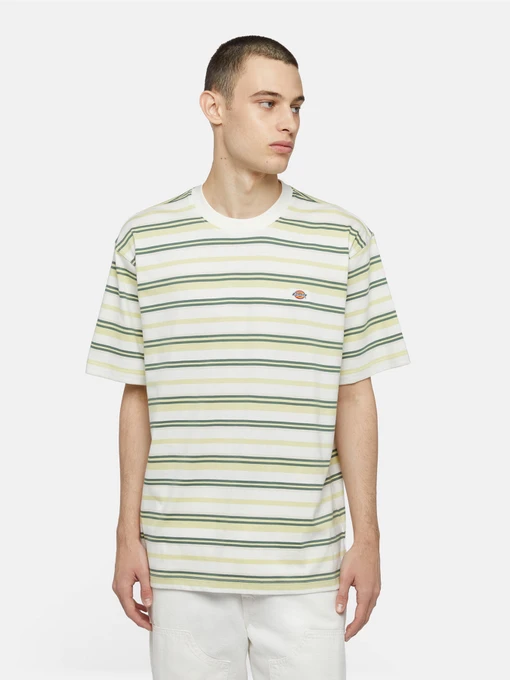 Футболки і поло Dickies Glade Spring Ss модель DK0A4YR1J421 Фото