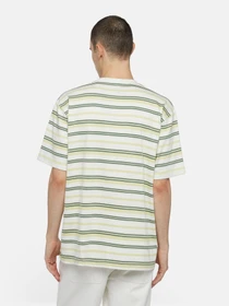 Футболки і поло Dickies Glade Spring Ss модель DK0A4YR1J421 Фото