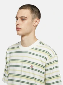 Футболки і поло Dickies Glade Spring Ss модель DK0A4YR1J421 Фото