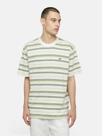 Футболки і поло Dickies Glade Spring Ss модель DK0A4YR1J421 Фото