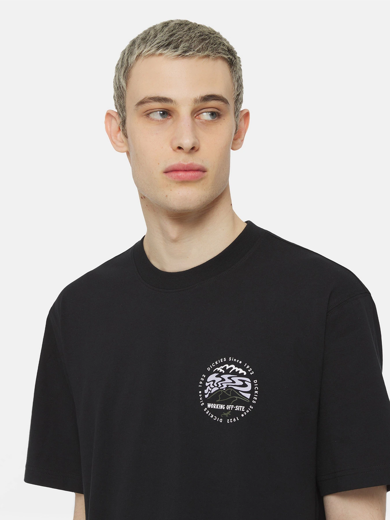 Футболки і поло Dickies Ss Stanardsville модель DK0A4YR2BLK1 Футболки і поло Dickies Ss Stanardsville модель DK0A4YR2BLK1 Фото