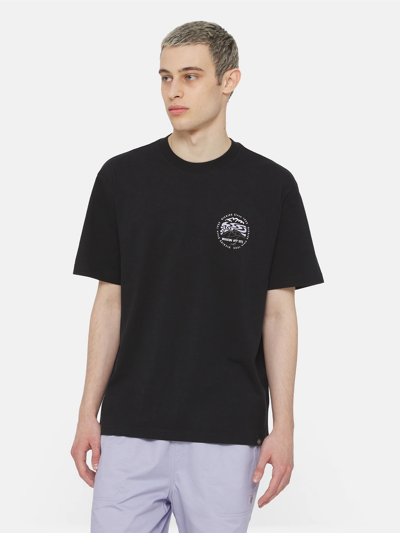 Футболки і поло Dickies Ss Stanardsville модель DK0A4YR2BLK1 Футболки і поло Dickies Ss Stanardsville модель DK0A4YR2BLK1 Фото