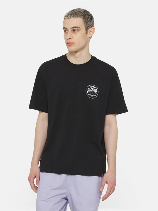 Футболки і поло Dickies Ss Stanardsville модель DK0A4YR2BLK1 Фото