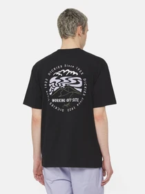 Футболки і поло Dickies Ss Stanardsville модель DK0A4YR2BLK1 Фото