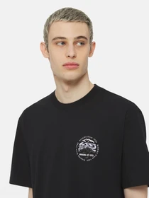 Футболки і поло Dickies Ss Stanardsville модель DK0A4YR2BLK1 Фото