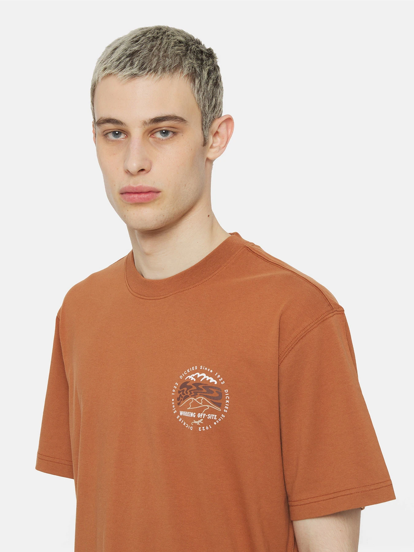 Футболки і поло Dickies Ss Stanardsville модель DK0A4YR2H161 Фото
