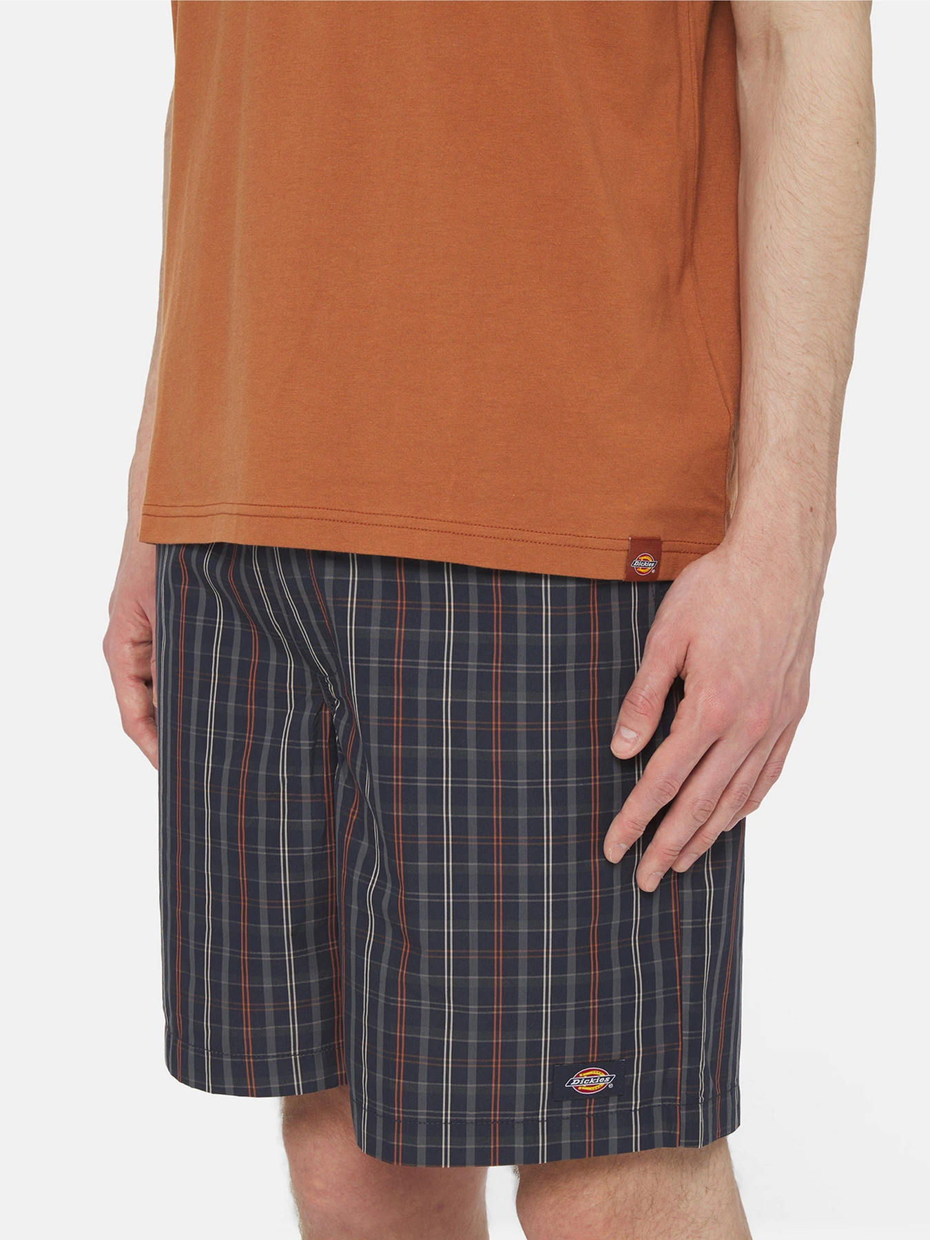 Футболки і поло Dickies Ss Stanardsville модель DK0A4YR2H161 Фото