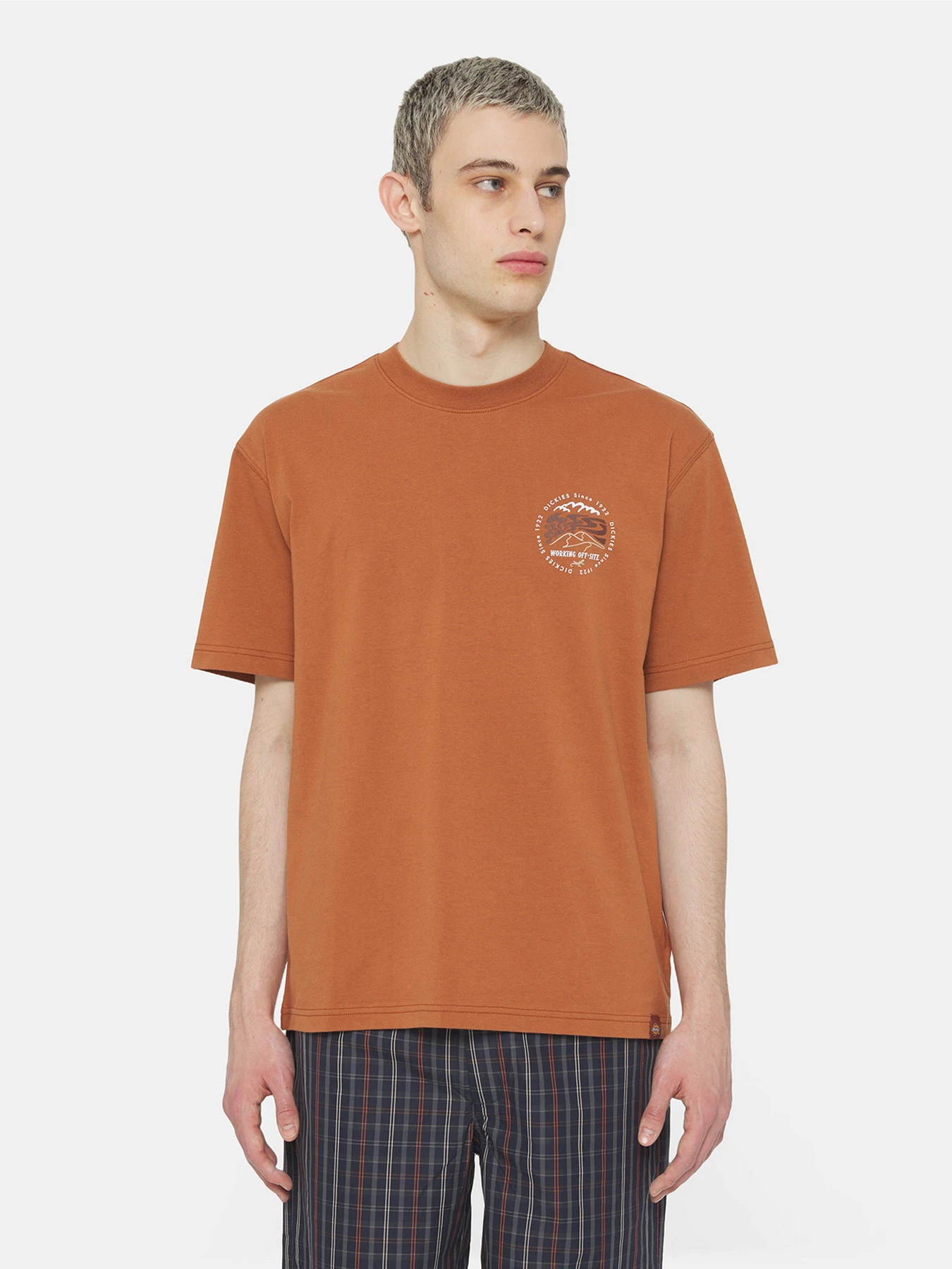 Футболки і поло Dickies Ss Stanardsville модель DK0A4YR2H161 Фото