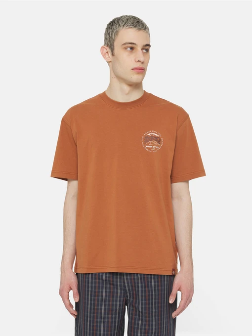 Футболки и поло Dickies Ss Stanardsville модель DK0A4YR2H161 Фото