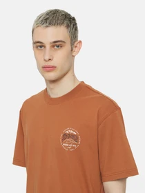 Футболки і поло Dickies Ss Stanardsville модель DK0A4YR2H161 Фото