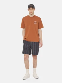 Футболки і поло Dickies Ss Stanardsville модель DK0A4YR2H161 Фото