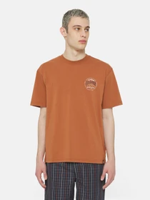 Футболки і поло Dickies Ss Stanardsville модель DK0A4YR2H161 Фото