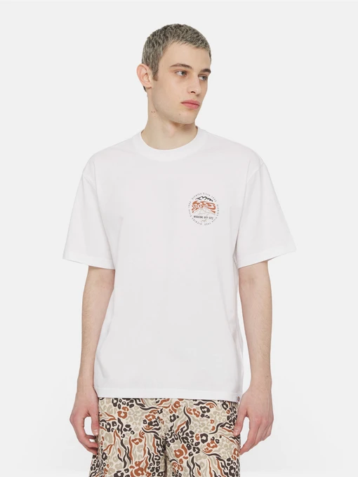Футболки і поло Dickies Ss Stanardsville модель DK0A4YR2WHX1 Фото