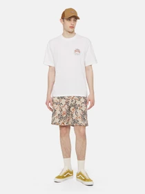 Футболки і поло Dickies Ss Stanardsville модель DK0A4YR2WHX1 Фото