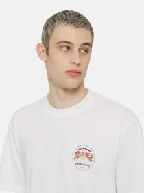 Футболки і поло Dickies Ss Stanardsville модель DK0A4YR2WHX1 Фото