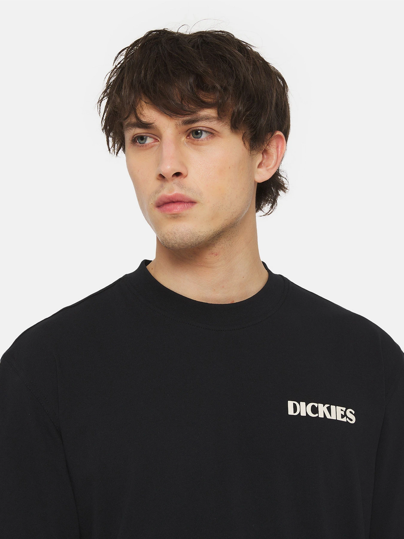 Футболки і поло Dickies Herndon Ss модель DK0A4YR5BLK1 Футболки і поло Dickies Herndon Ss модель DK0A4YR5BLK1 Фото