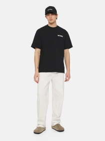 Футболки і поло Dickies Herndon Ss модель DK0A4YR5BLK1 Фото