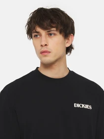 Футболки і поло Dickies Herndon Ss модель DK0A4YR5BLK1 Фото