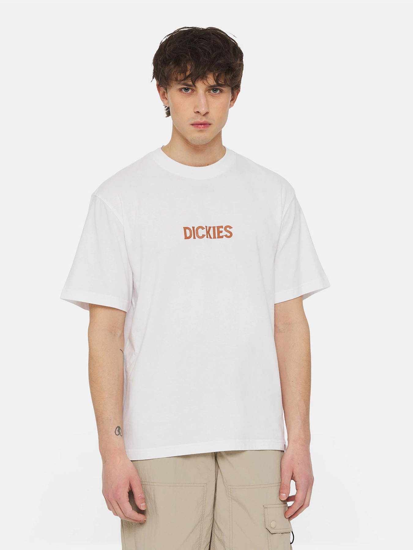 Футболки і поло Dickies Patrick Springs Ss модель DK0A4YR7WHX1 Футболки і поло Dickies Patrick Springs Ss модель DK0A4YR7WHX1 Фото