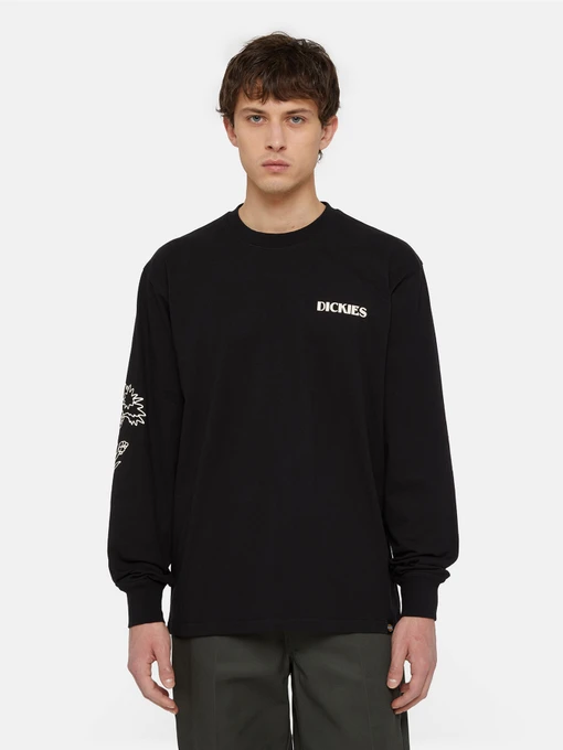 Худі та світшоти Dickies Timberville  Ls модель DK0A4YRBBLK1 Фото