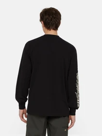 Худі та світшоти Dickies Timberville Ls модель DK0A4YRBBLK1 Фото