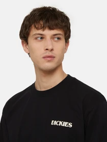 Худі та світшоти Dickies Timberville Ls модель DK0A4YRBBLK1 Фото