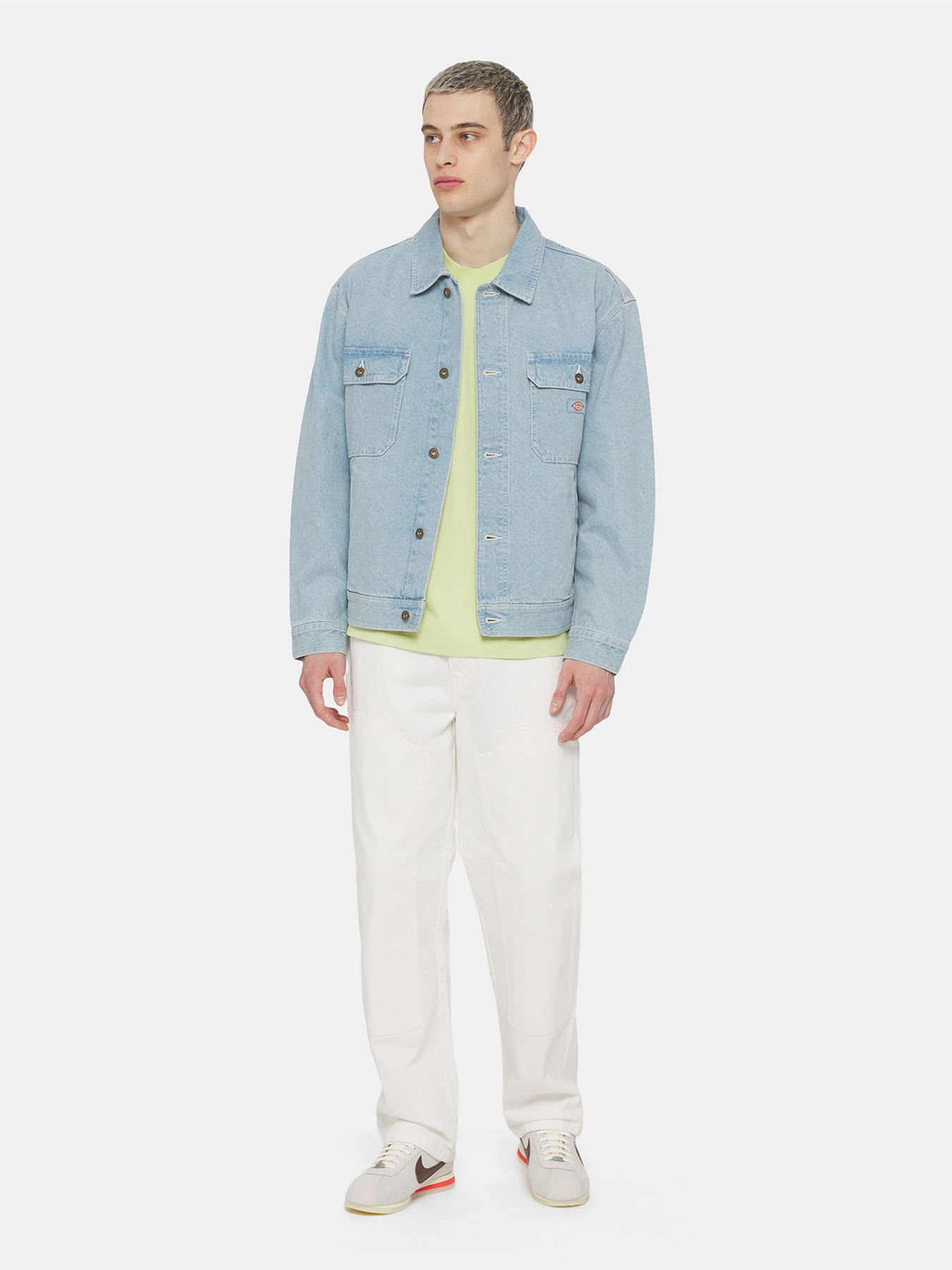 Худи и свитшоты Dickies Timberville  Ls модель DK0A4YRBH141 Фото