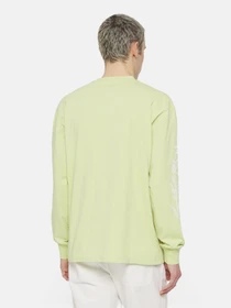 Худи и свитшоты Dickies Timberville  Ls модель DK0A4YRBH141 Фото