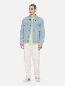 Худи и свитшоты Dickies Timberville  Ls модель DK0A4YRBH141 Фото