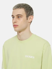 Худи и свитшоты Dickies Timberville  Ls модель DK0A4YRBH141 Фото