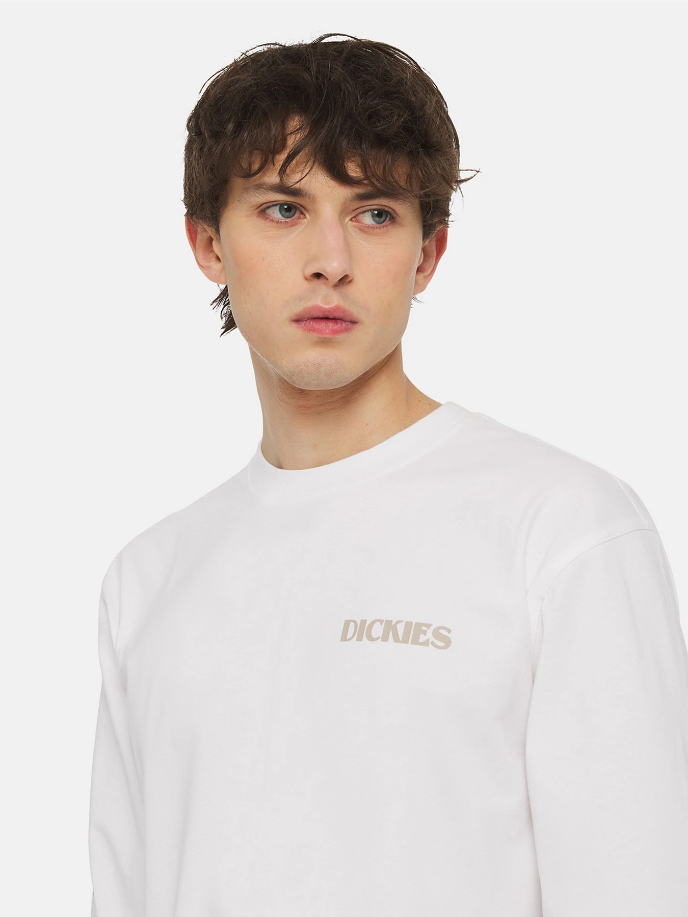 Худи и свитшоты Dickies Timberville Ls модель DK0A4YRBWHX1 Худи и свитшоты Dickies Timberville Ls модель DK0A4YRBWHX1 Фото