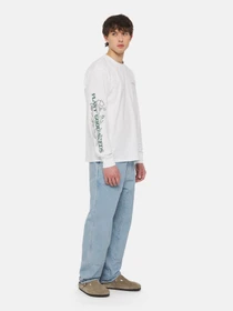 Худи и свитшоты Dickies Timberville Ls модель DK0A4YRBWHX1 Фото