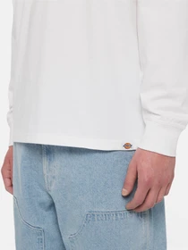 Худи и свитшоты Dickies Timberville Ls модель DK0A4YRBWHX1 Фото