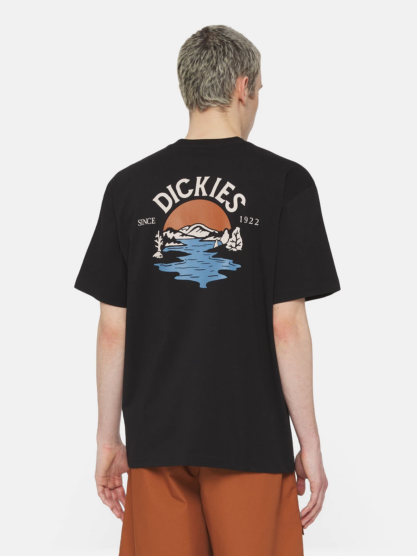 Футболки и поло Dickies Beach  Ss модель DK0A4YRDBLK1 Фото