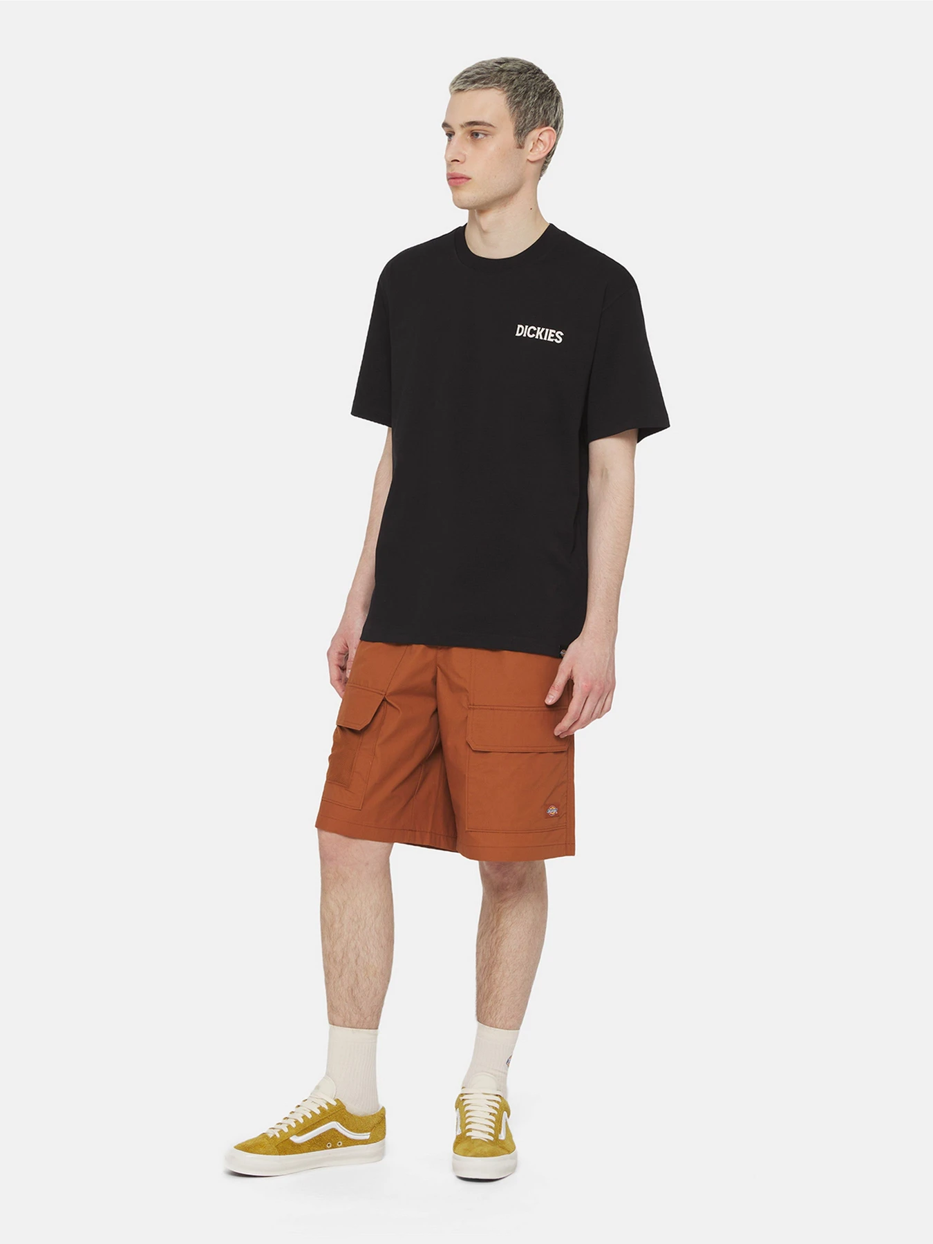 Футболки и поло Dickies Beach  Ss модель DK0A4YRDBLK1 Фото
