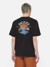 Футболки и поло Dickies Beach  Ss модель DK0A4YRDBLK1 Фото