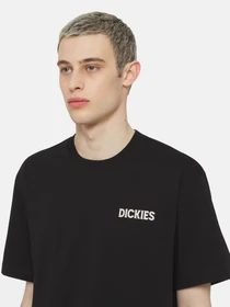 Футболки и поло Dickies Beach  Ss модель DK0A4YRDBLK1 Фото