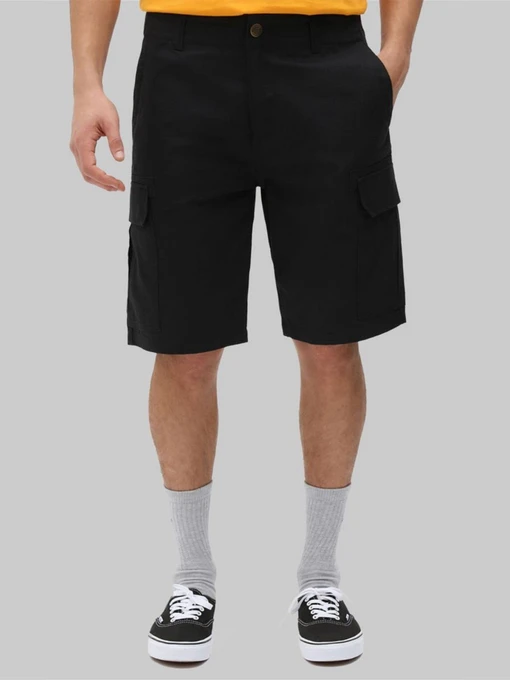 Шорты Dickies Millerville модель DK0A4XEDBLK1 Фото