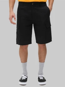 Шорты Dickies Millerville модель DK0A4XEDBLK1 Фото