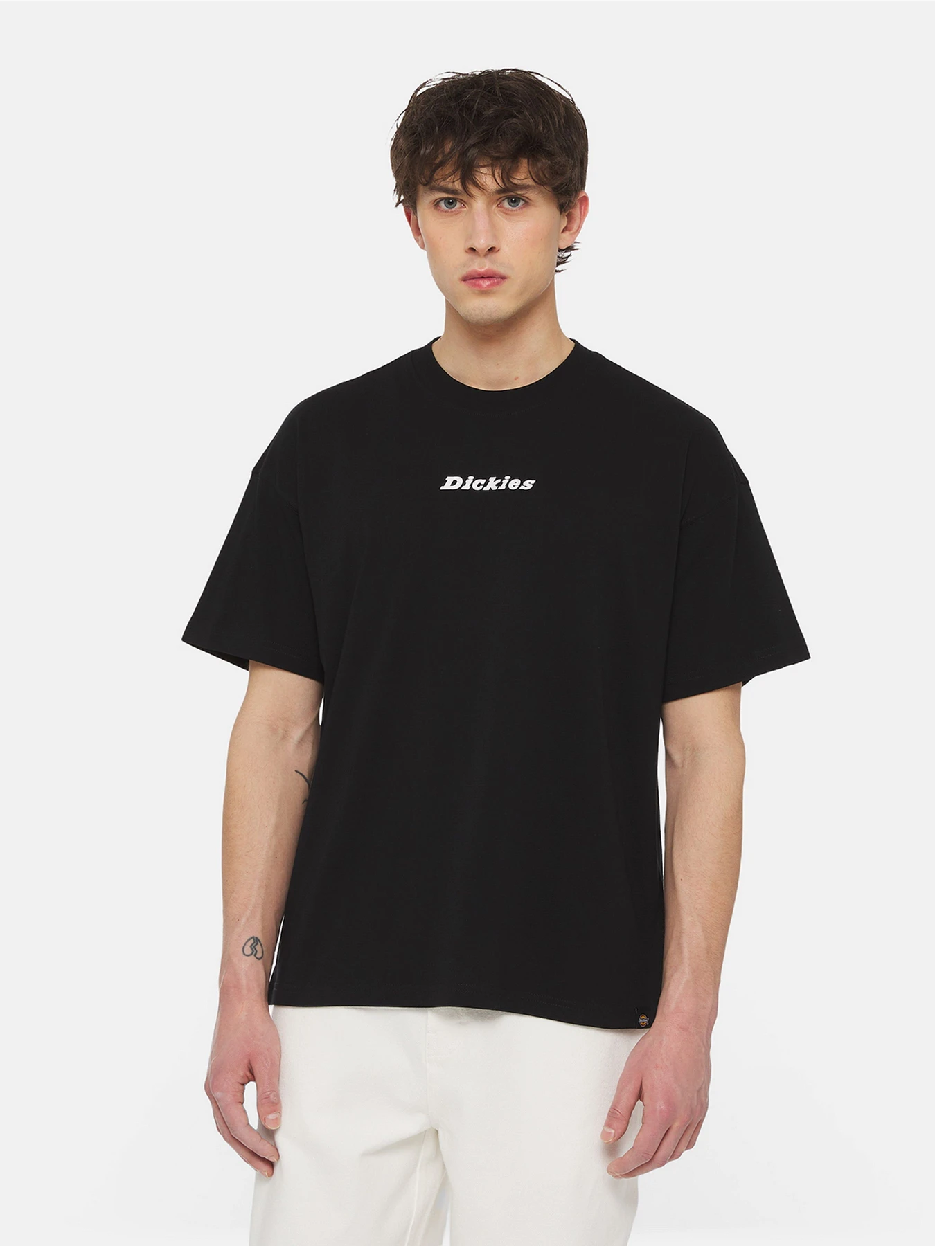 Футболки и поло Dickies Enterprise  Ss модель DK0A4YRNBLK1 Фото