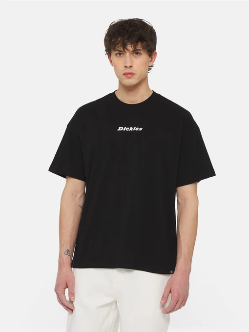 Футболки і поло Dickies Enterprise  Ss модель DK0A4YRNBLK1 Фото