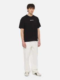 Футболки и поло Dickies Enterprise  Ss модель DK0A4YRNBLK1 Фото