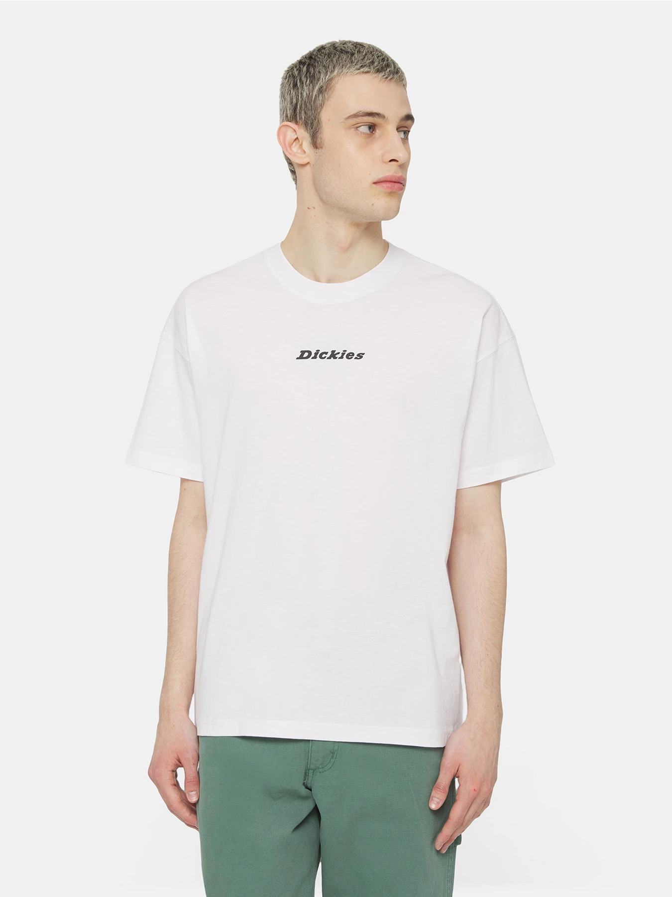 Футболки и поло Dickies Enterprise  Ss модель DK0A4YRNWHX1 Фото