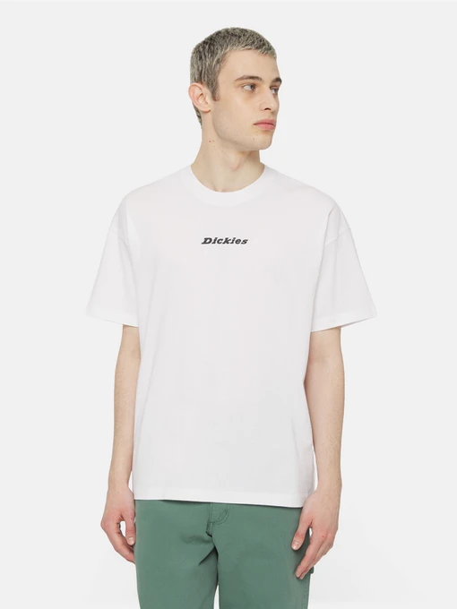 Футболки і поло Dickies Enterprise  Ss модель DK0A4YRNWHX1 Фото