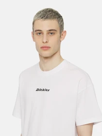 Футболки и поло Dickies Enterprise  Ss модель DK0A4YRNWHX1 Фото