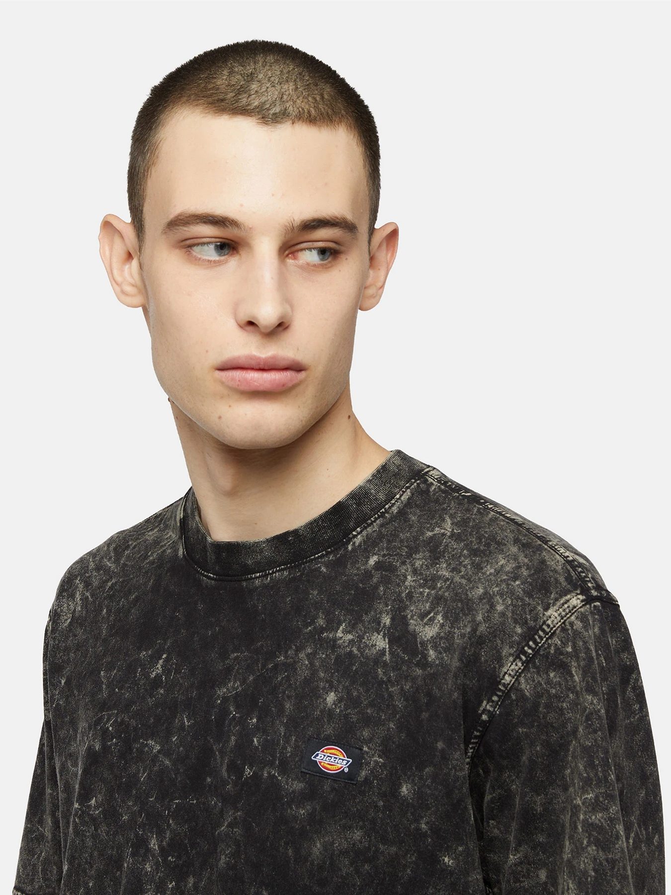 Футболки і поло Dickies Neington Ss модель DK0A4YROH861 Футболки і поло Dickies Neington Ss модель DK0A4YROH861 Фото