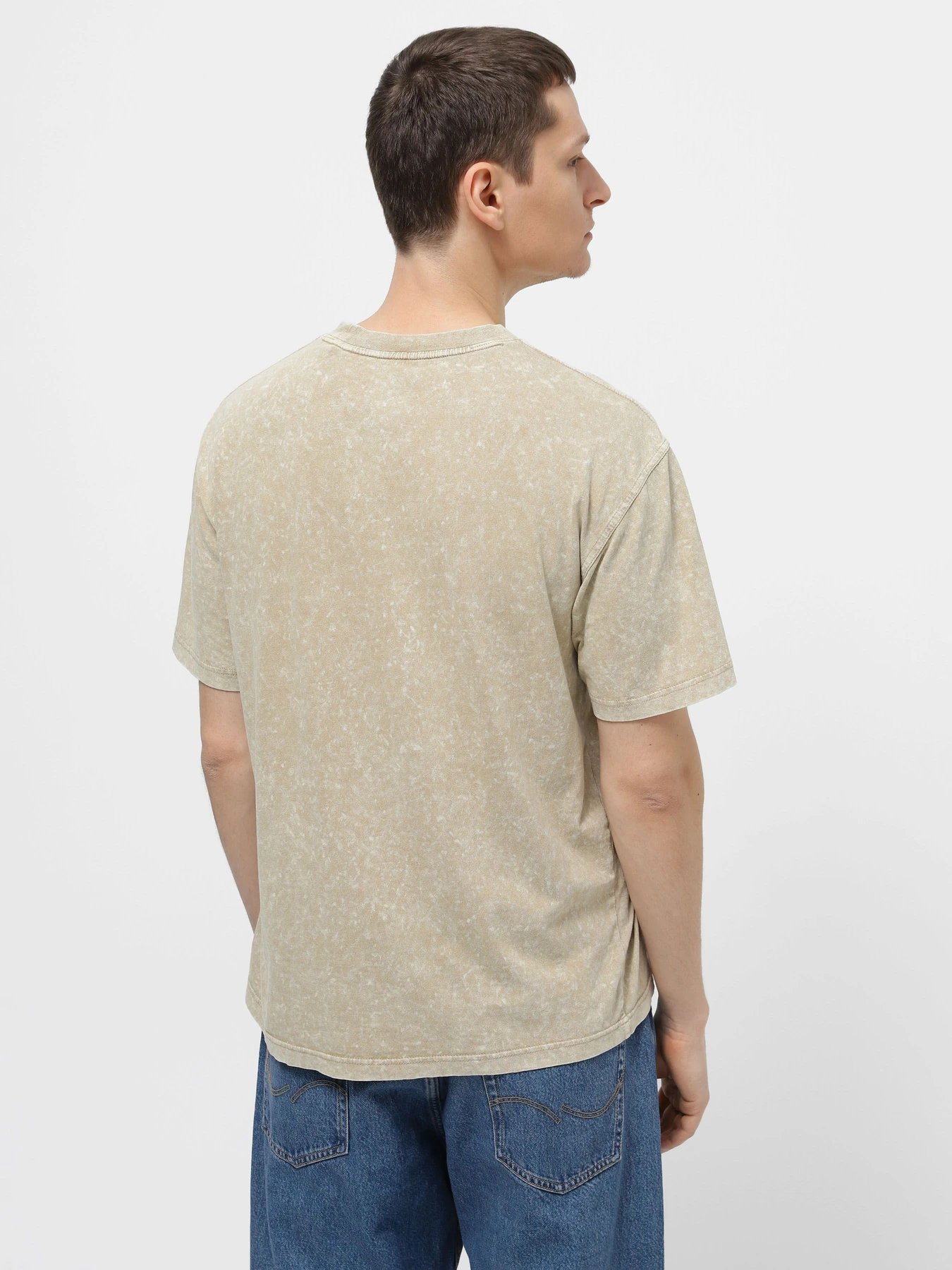 Футболки і поло Dickies Neington Ss модель DK0A4YROJ491 Футболки і поло Dickies Neington Ss модель DK0A4YROJ491 Фото