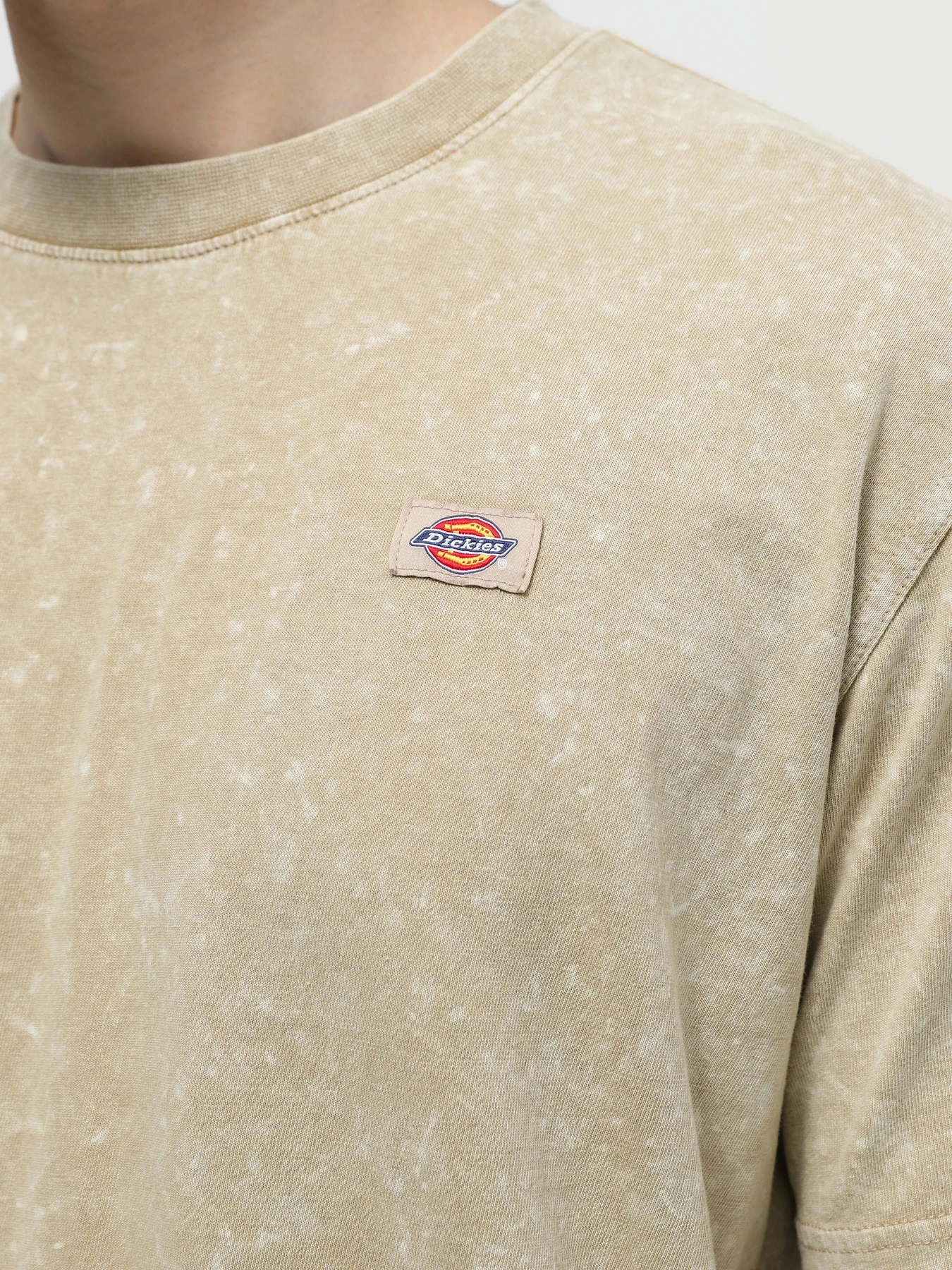 Футболки і поло Dickies Neington Ss модель DK0A4YROJ491 Футболки і поло Dickies Neington Ss модель DK0A4YROJ491 Фото