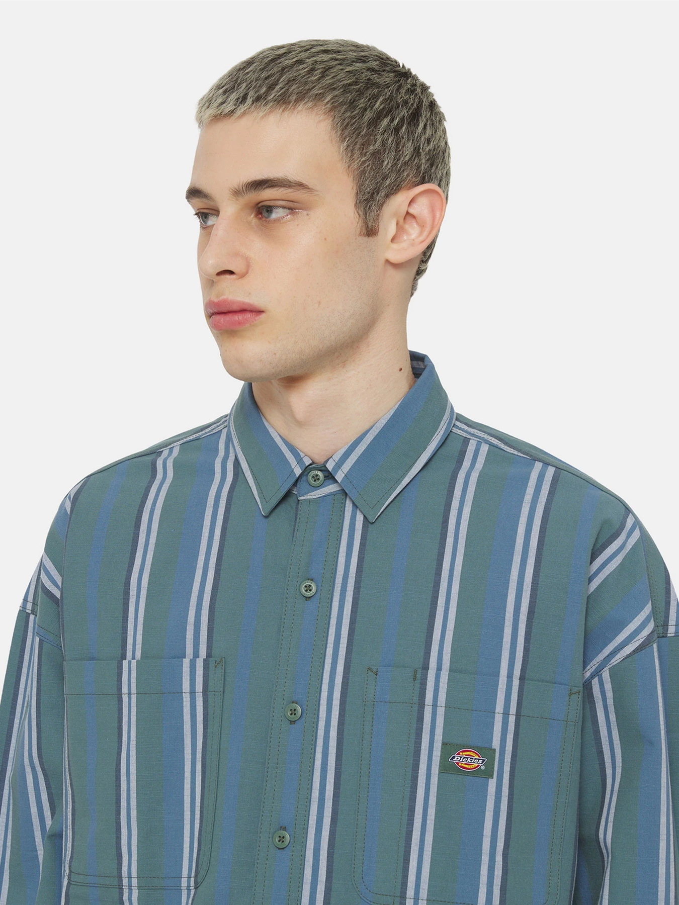 Рубашки Dickies Glade Spring Ls модель DK0A4YS2H681 Фото